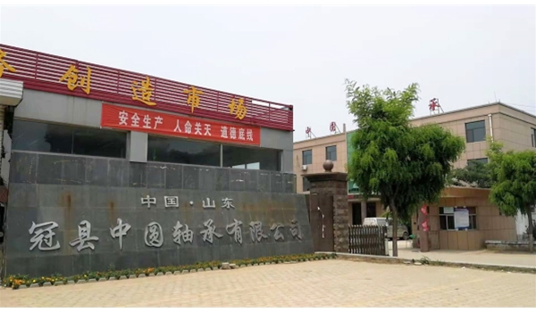 公司概覽